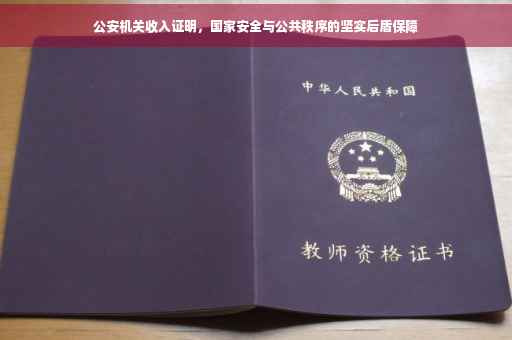 公安机关收入证明，国家安全与公共秩序的坚实后盾保障