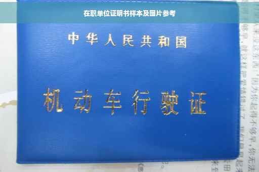 在职单位证明书样本及图片参考