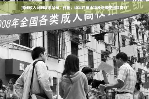 揭秘收入证明联系号码，作用、填写注意事项及正确使用指南??