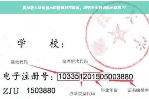 揭秘收入证明背后的精确数字故事，细节至小数点揭示真相 ??