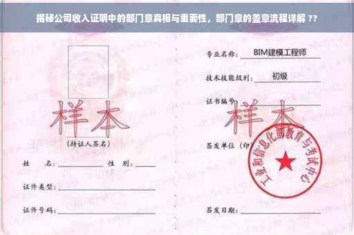 揭秘公司收入证明中的部门章真相与重要性，部门章的盖章流程详解 ??