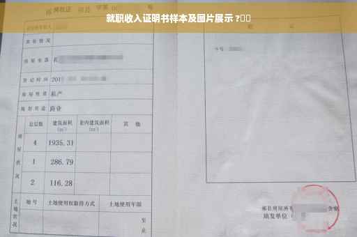 就职收入证明书样本及图片展示 ?⚡️