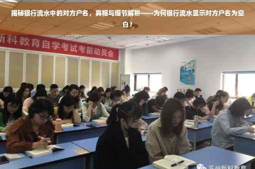 揭秘银行流水中的对方户名，真相与细节解析——为何银行流水显示对方户名为空白？