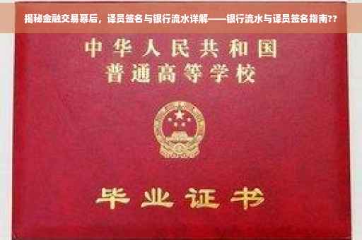 揭秘金融交易幕后，译员签名与银行流水详解——银行流水与译员签名指南??