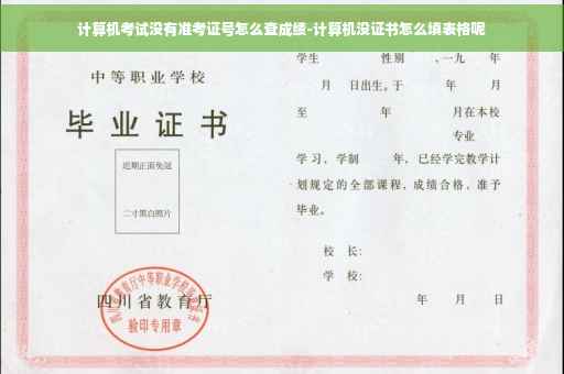 计算机考试没有准考证号怎么查成绩-计算机没证书怎么填表格呢