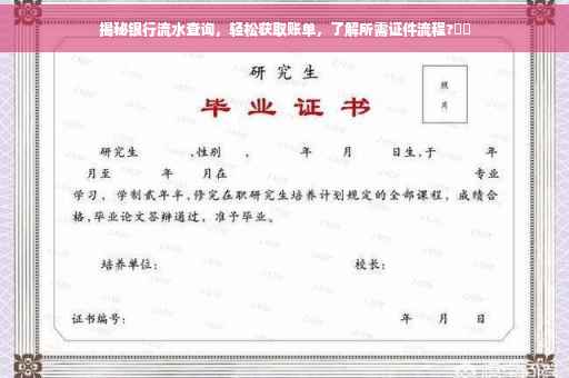 揭秘银行流水查询，轻松获取账单，了解所需证件流程?⚡️