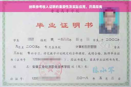 纳税参考收入证明的重要性及实际应用，开具指南