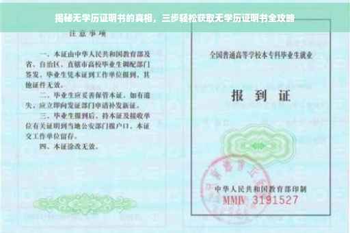 揭秘无学历证明书的真相，三步轻松获取无学历证明书全攻略