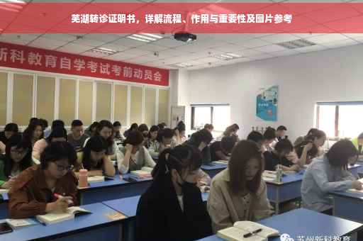 芜湖转诊证明书，详解流程、作用与重要性及图片参考