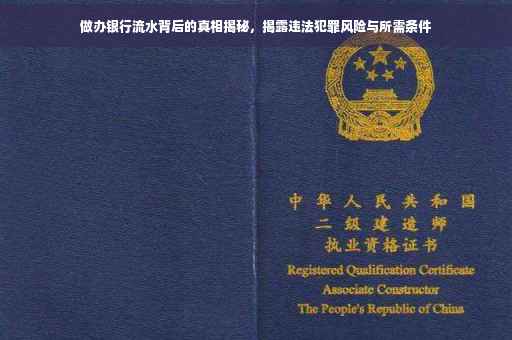做办银行流水背后的真相揭秘，揭露违法犯罪风险与所需条件