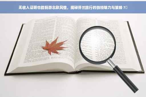 无收入证明也能畅游北欧风情，揭秘芬兰旅行的独特魅力与策略 ?✨