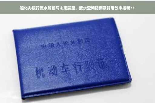 遵化办银行流水解读与未来展望，流水查询指南及背后故事揭秘??