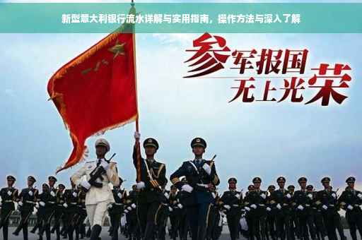 新型意大利银行流水详解与实用指南，操作方法与深入了解