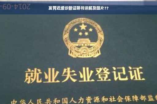 发育迟缓诊断证明书详解及图片??
