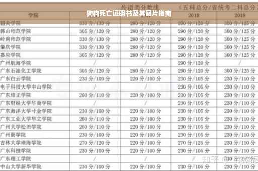 狗狗死亡证明书及其图片指南