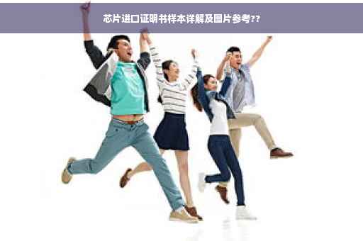 芯片进口证明书样本详解及图片参考??