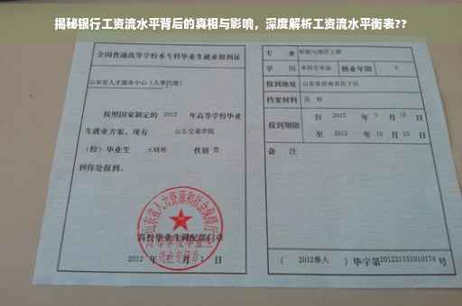 揭秘银行工资流水平背后的真相与影响，深度解析工资流水平衡表??