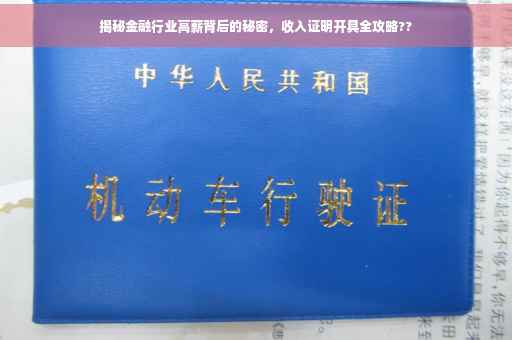 揭秘金融行业高薪背后的秘密，收入证明开具全攻略??