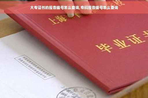 大专证书的报告编号怎么查询,专科报告编号怎么查询