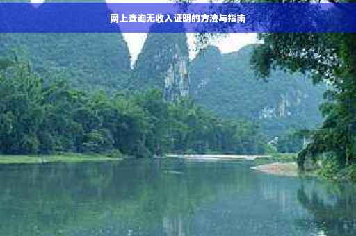 网上查询无收入证明的方法与指南