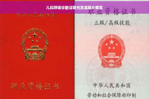 儿科呼吸诊断证明书及其图片概览