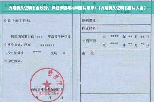 办理码头证明书全攻略，详细步骤与材料图片展示?（办理码头证明书图片大全）
