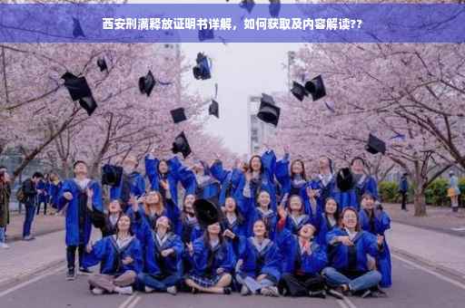 西安刑满释放证明书详解，如何获取及内容解读??