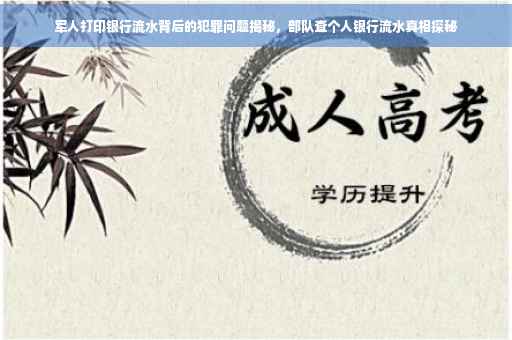 军人打印银行流水背后的犯罪问题揭秘，部队查个人银行流水真相探秘