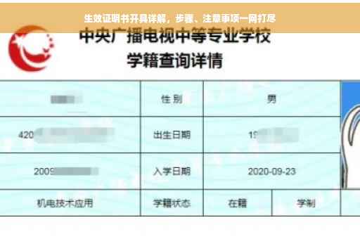 生效证明书开具详解，步骤、注意事项一网打尽