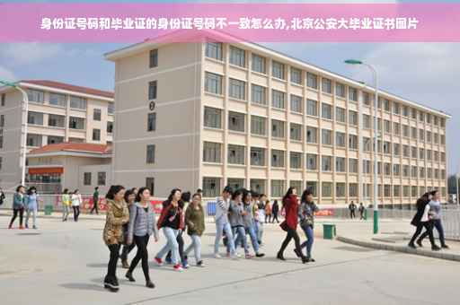 身份证号码和毕业证的身份证号码不一致怎么办,北京公安大毕业证书图片