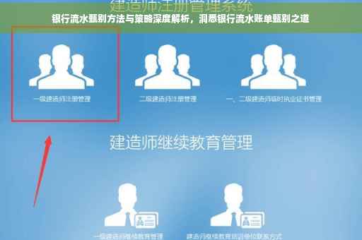 银行流水甄别方法与策略深度解析，洞悉银行流水账单甄别之道