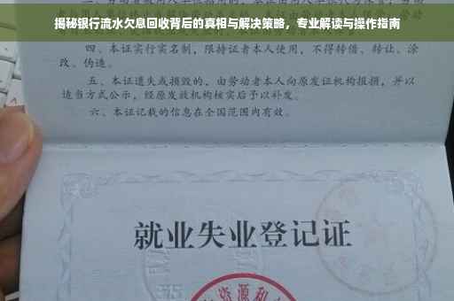 揭秘银行流水欠息回收背后的真相与解决策略，专业解读与操作指南