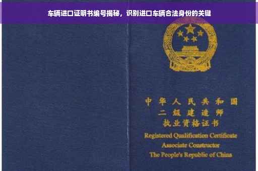 车辆进口证明书编号揭秘，识别进口车辆合法身份的关键