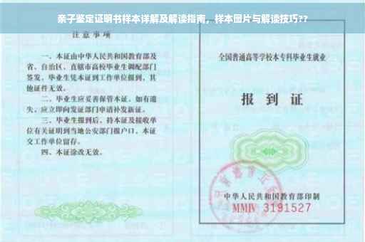 亲子鉴定证明书样本详解及解读指南，样本图片与解读技巧??