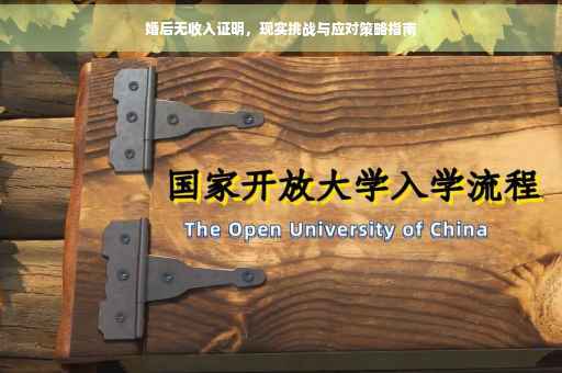 婚后无收入证明，现实挑战与应对策略指南