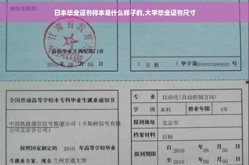 日本毕业证书样本是什么样子的,大学毕业证书尺寸