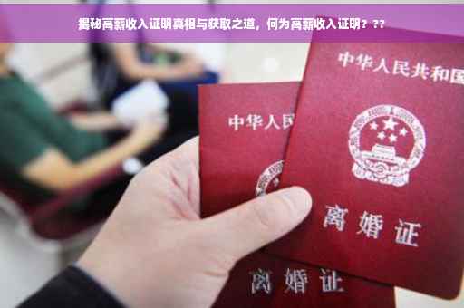 揭秘高薪收入证明真相与获取之道，何为高薪收入证明？??
