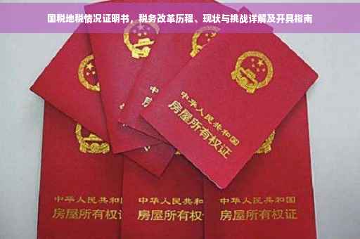 国税地税情况证明书，税务改革历程、现状与挑战详解及开具指南