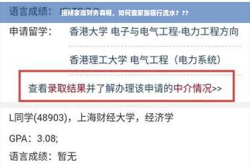 揭秘家庭财务真相，如何查家族银行流水？??