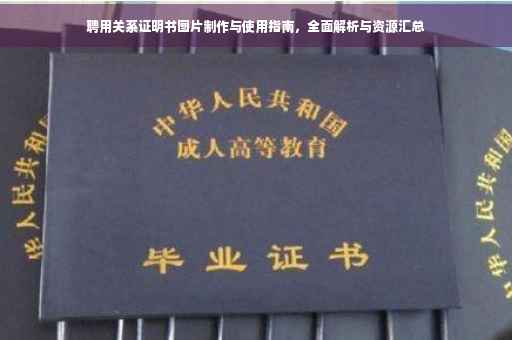 聘用关系证明书图片制作与使用指南，全面解析与资源汇总