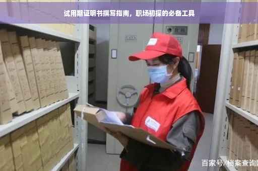 试用期证明书撰写指南，职场初探的必备工具