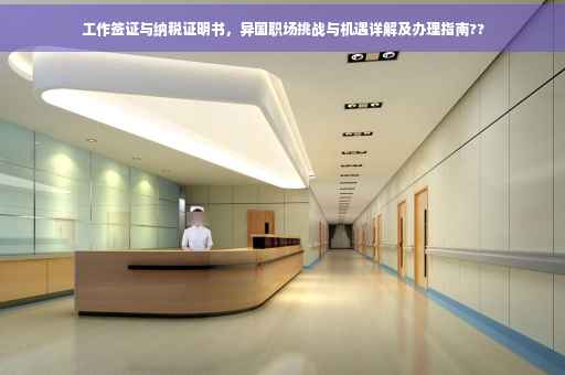 工作签证与纳税证明书，异国职场挑战与机遇详解及办理指南??