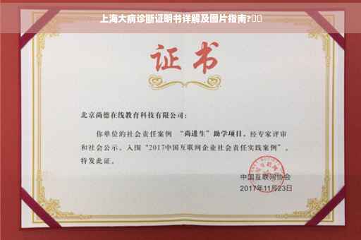 上海大病诊断证明书详解及图片指南?⚡️