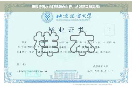 无银行流水也能玩转自由行，旅游新攻略揭秘！