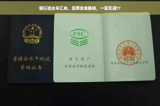 银行流水年汇总，洞悉资金脉络，一览无遗??
