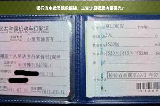 银行流水造假现象揭秘，工资计算犯罪内幕曝光?