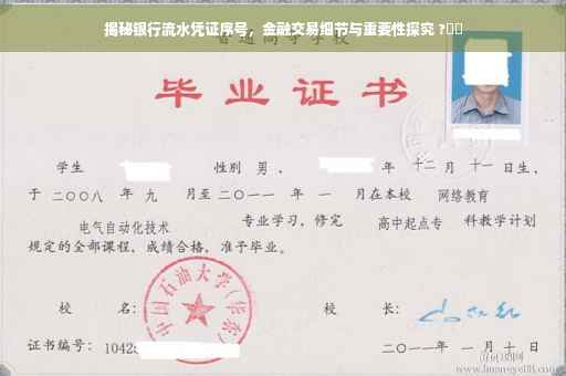 揭秘银行流水凭证序号，金融交易细节与重要性探究 ?⚡️