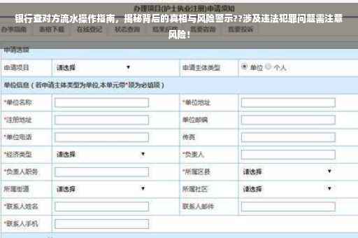 银行查对方流水操作指南，揭秘背后的真相与风险警示??涉及违法犯罪问题需注意风险！