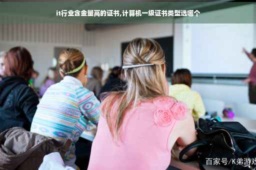 it行业含金量高的证书,计算机一级证书类型选哪个