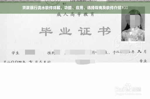 贷款银行流水软件详解，功能、应用、选择指南及软件介绍?⚡️